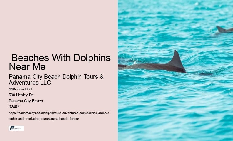 Dolphin Watch Boat Tours Near Me
