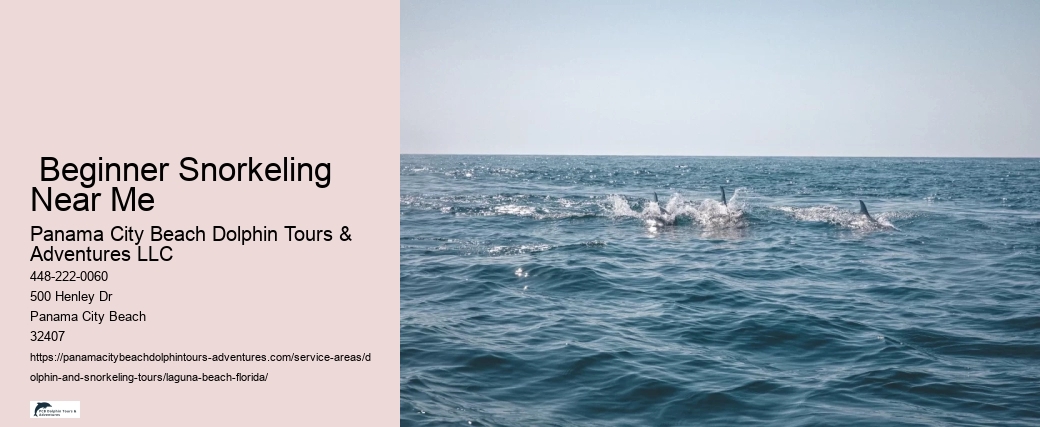 Snorkeling Near