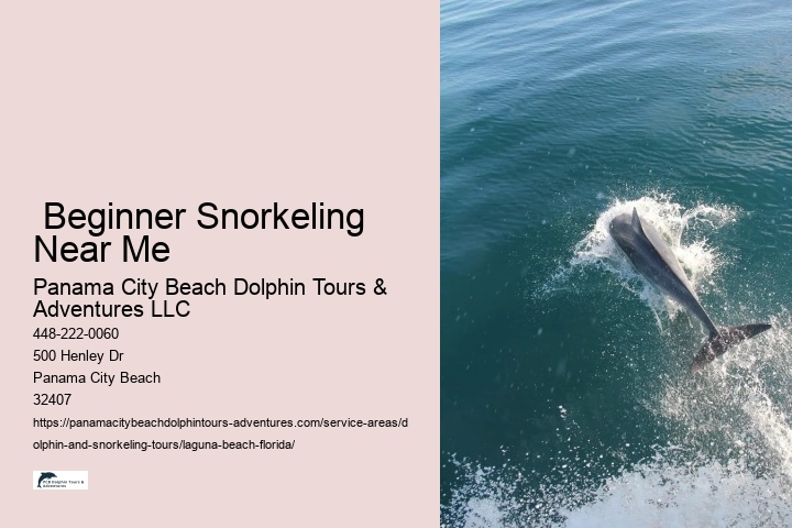  Beginner Snorkeling Near Me