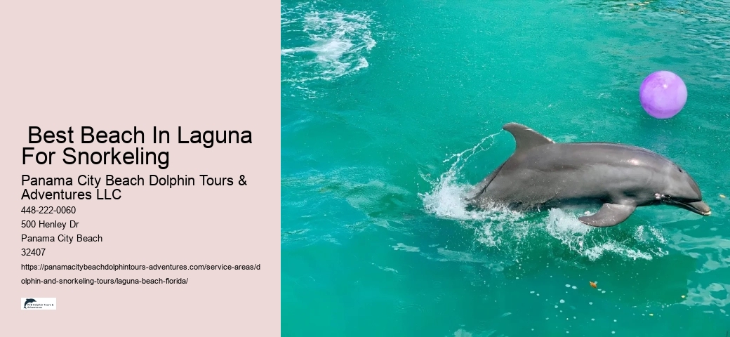 Dolphins