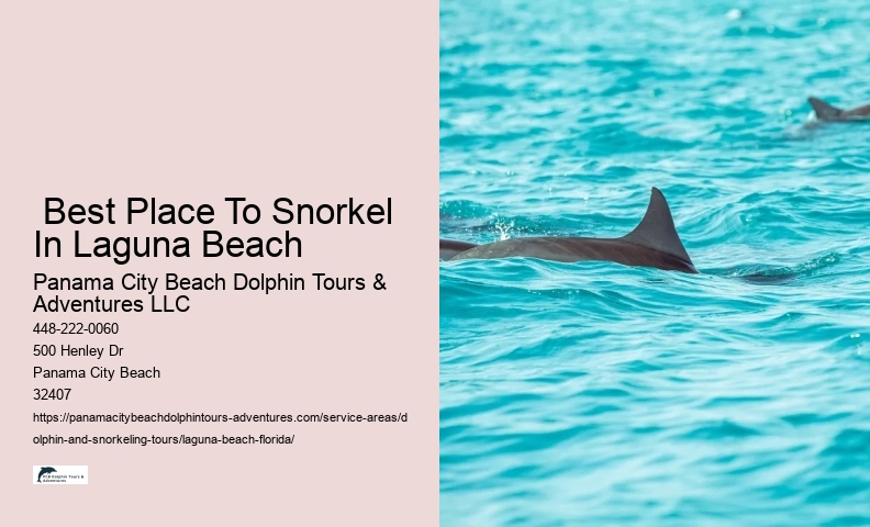 Snorkeling With Dolphins Near Me