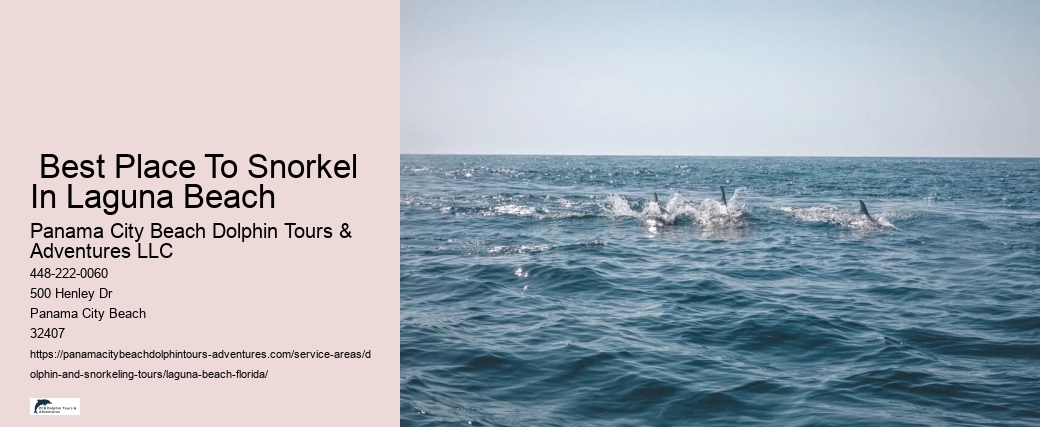 Snorkeling Excursions Near Me