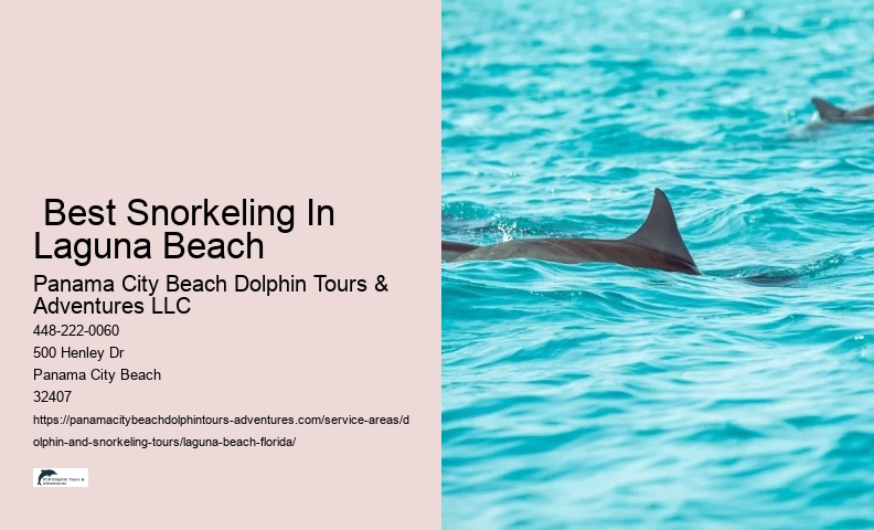 Nearby Snorkeling