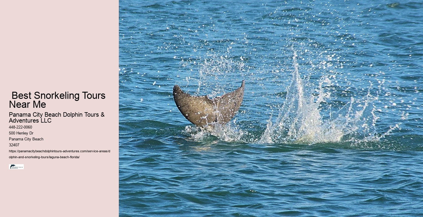 Dolphin-watching