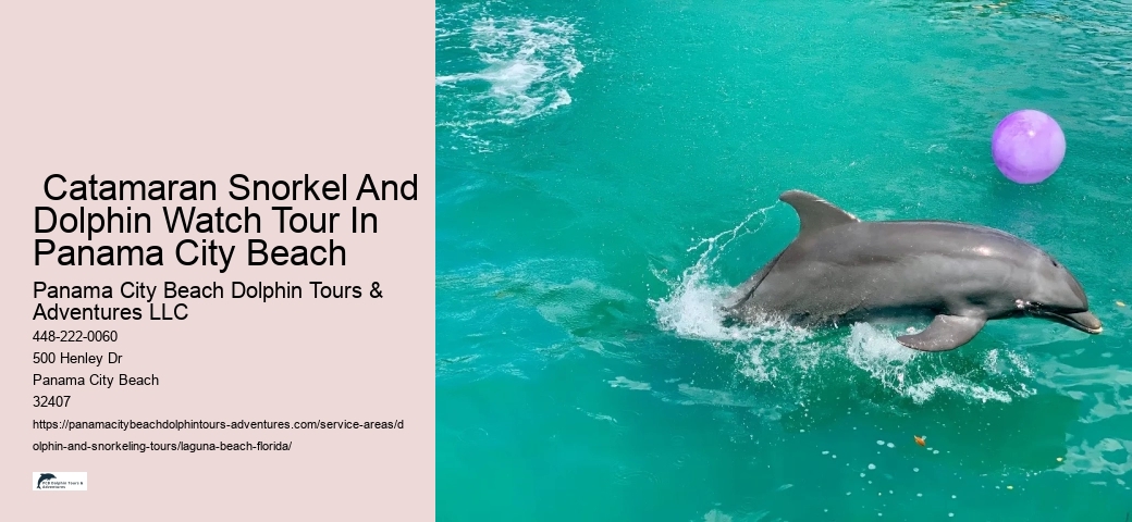 Dolphin Cruise And Snorkeling Adventure