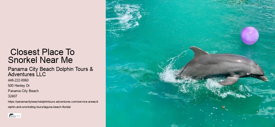 Sightseeing Boat Tours Near Me
