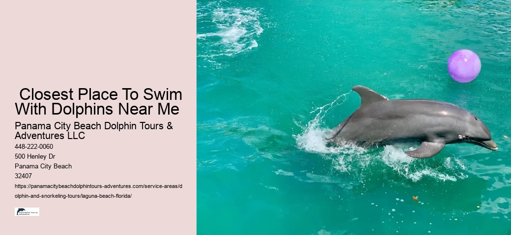 Where can you swim with wild dolphins in Florida