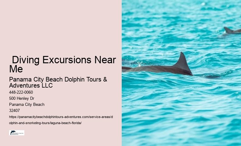 Can you touch dolphins in Florida