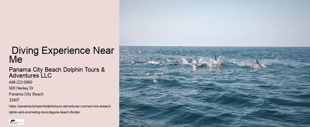 Can participants expect to see dolphins on every tour in Laguna Beach
