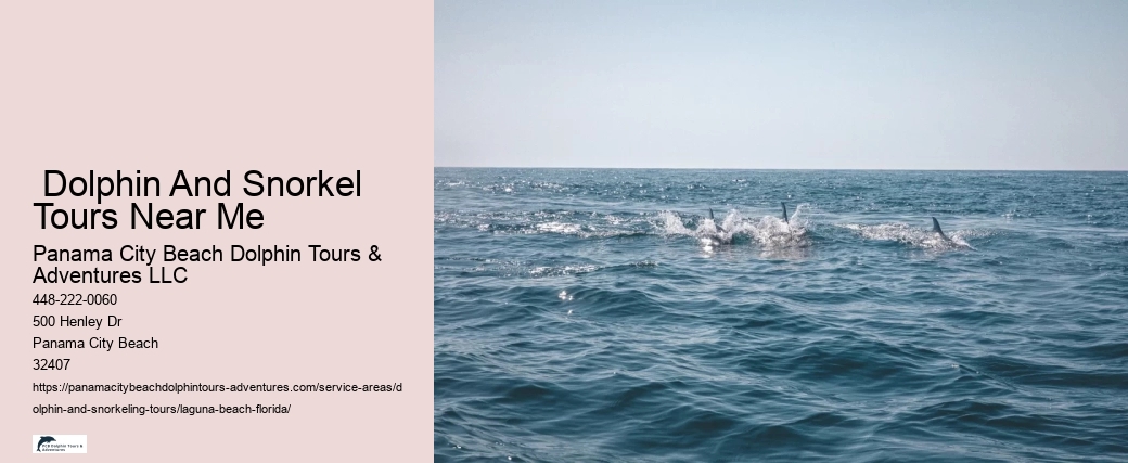 Dolphin Boat Snorkeling Tours In Panama City Beach