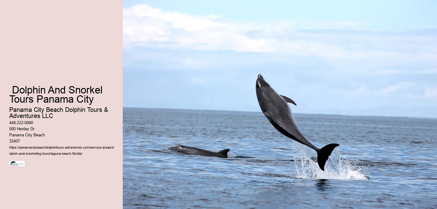 Best Dolphin Tours Panama City Beach