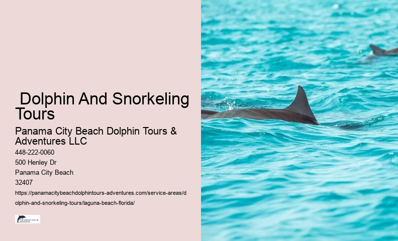 Snorkeling From Shore Near Me