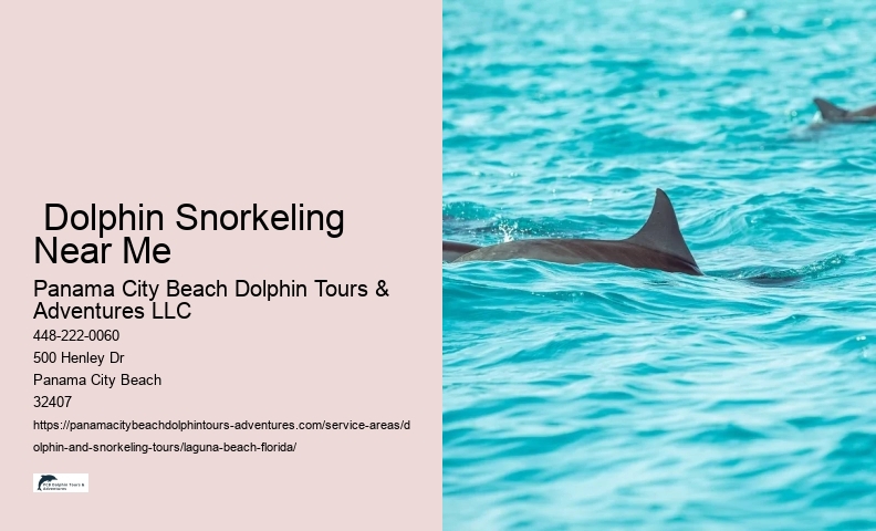 What is dolphin season
