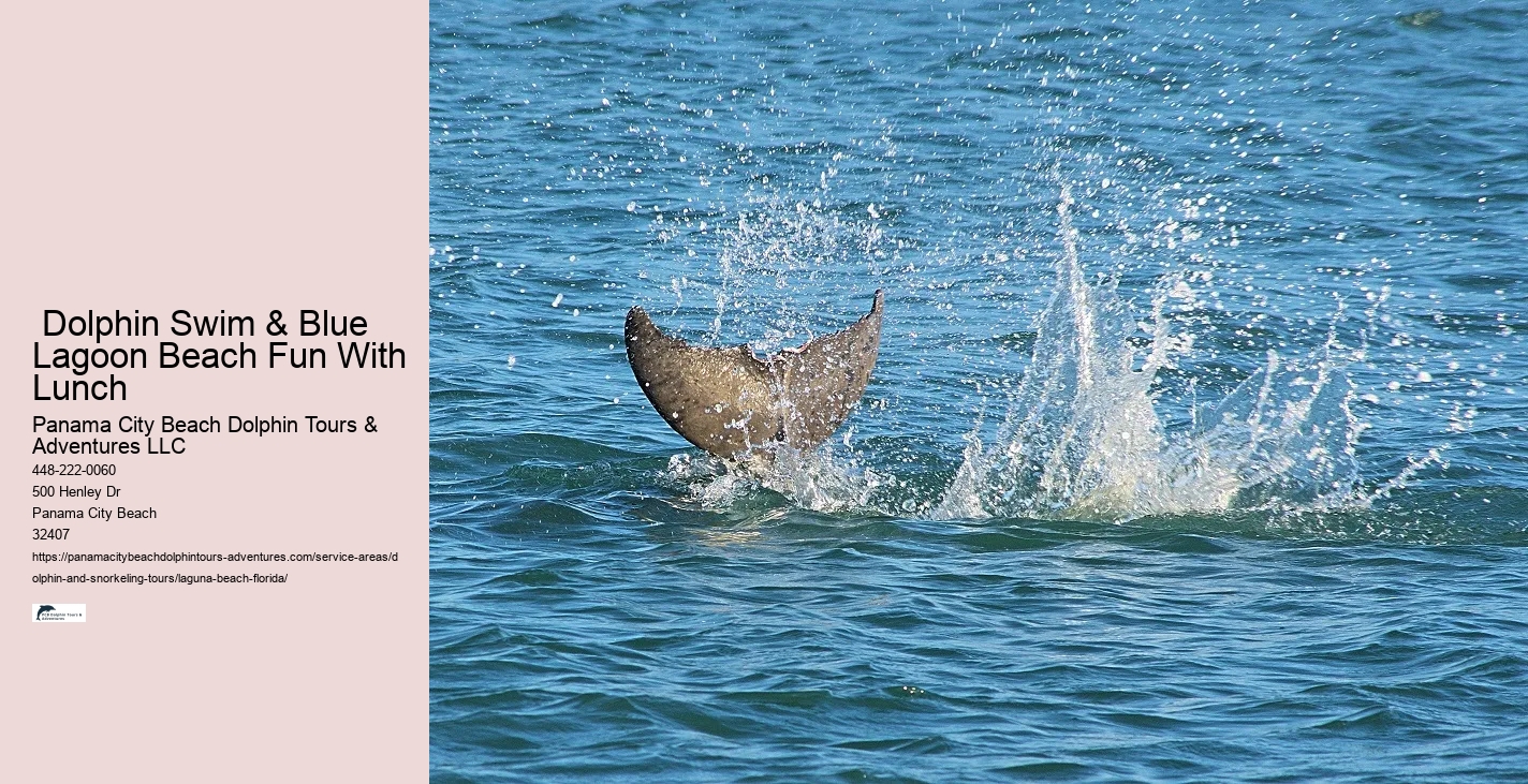 What month is best for dolphin watching