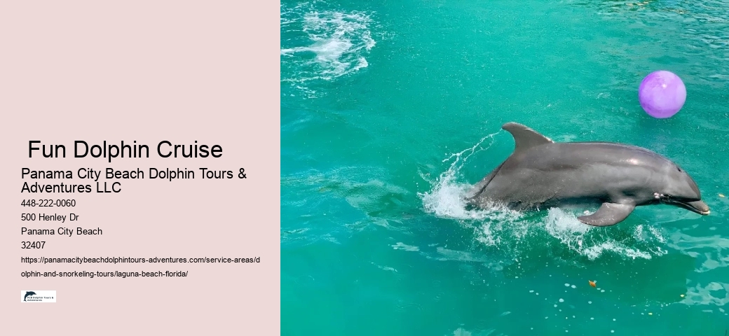 Dolphin Cruise And Snorkeling Adventure