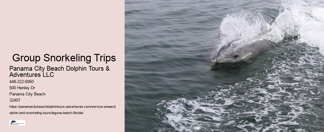 Dolphin And Snorkel Tours Panama City Beach