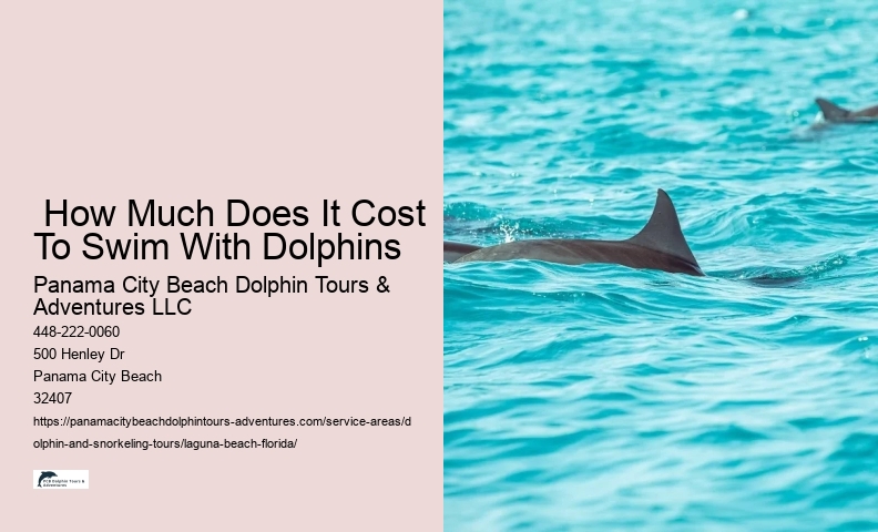 Dolphin Boat Snorkeling Tours In Panama City Beach