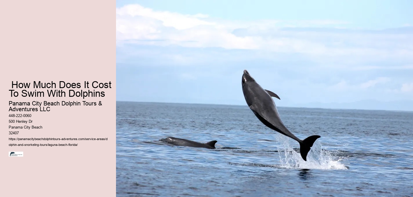 Do dolphins like to swim with you