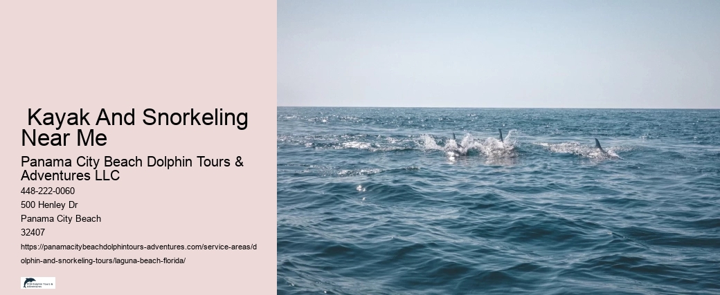 Laguna Snorkeling