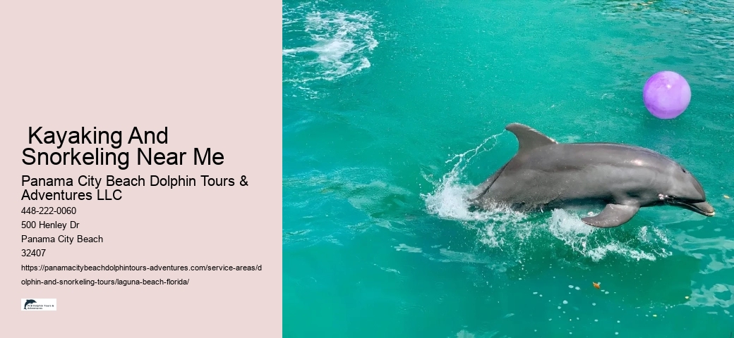 Dolphin And