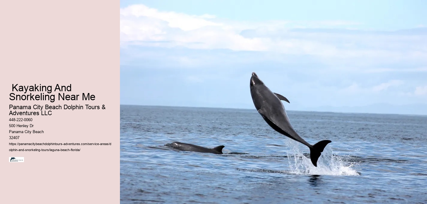 Dolphin And Snorkeling Tours Panama City Beach
