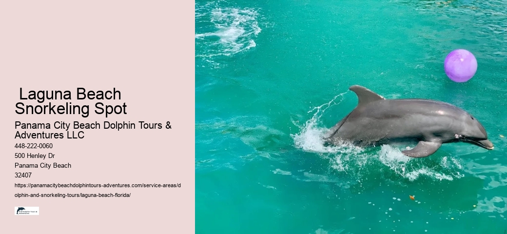 Dolphin Snorkeling Near Me