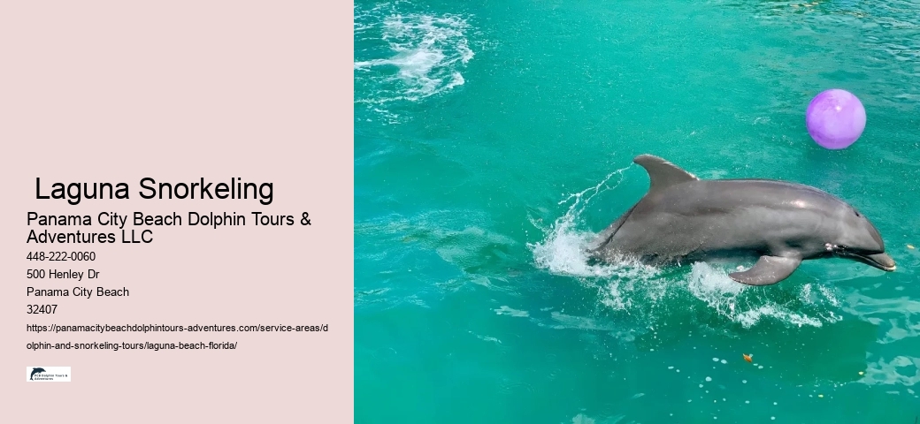 Sightseeing Boat Tours Near Me