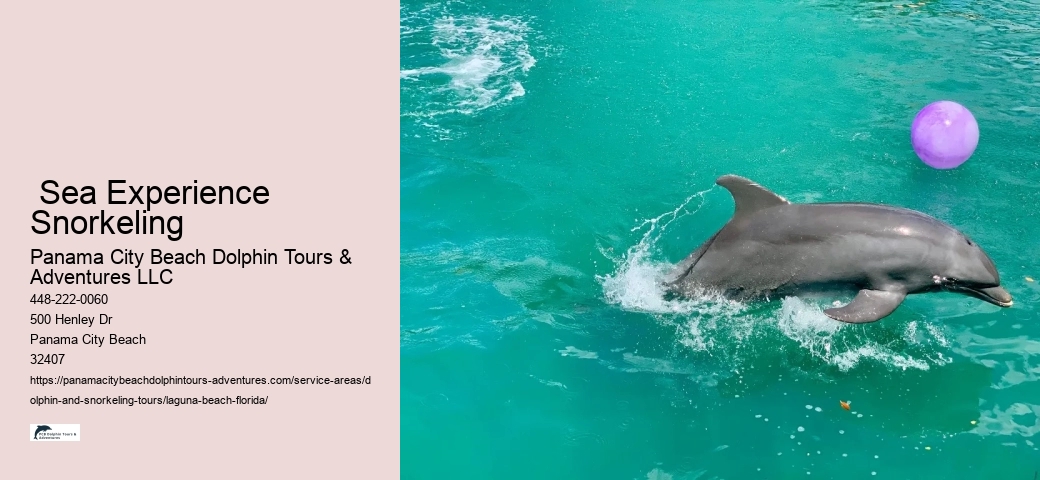 Snorkeling Boat Tour Near Me