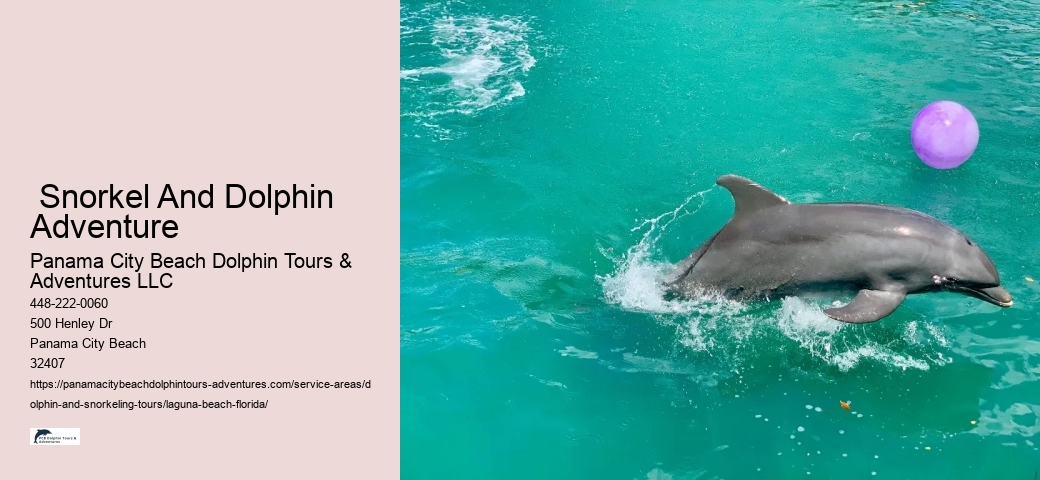Dolphin And Shelling Tours Near Me