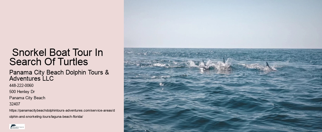 Panama City Dolphin Tours