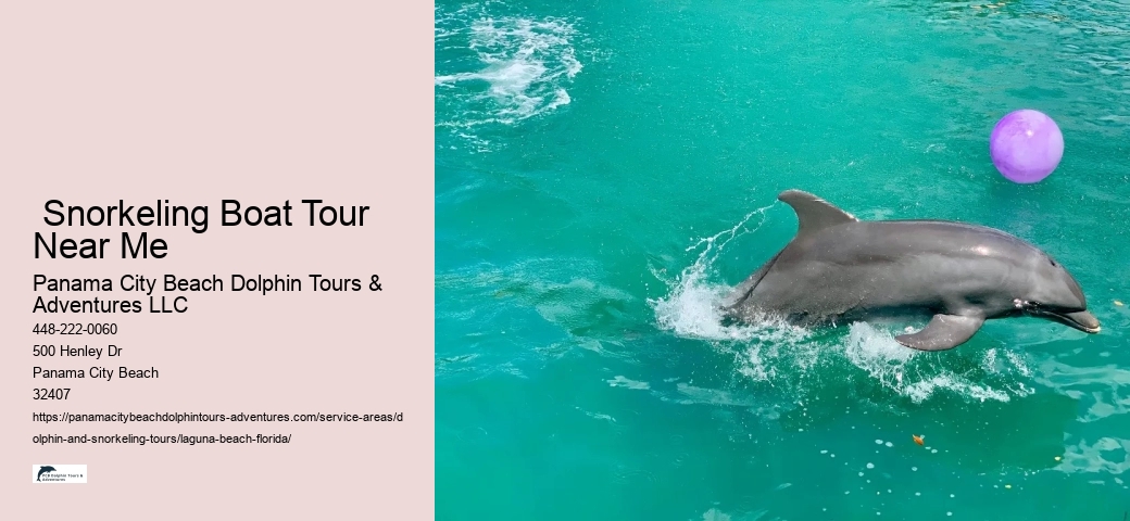 Scuba Diving Excursions Near Me