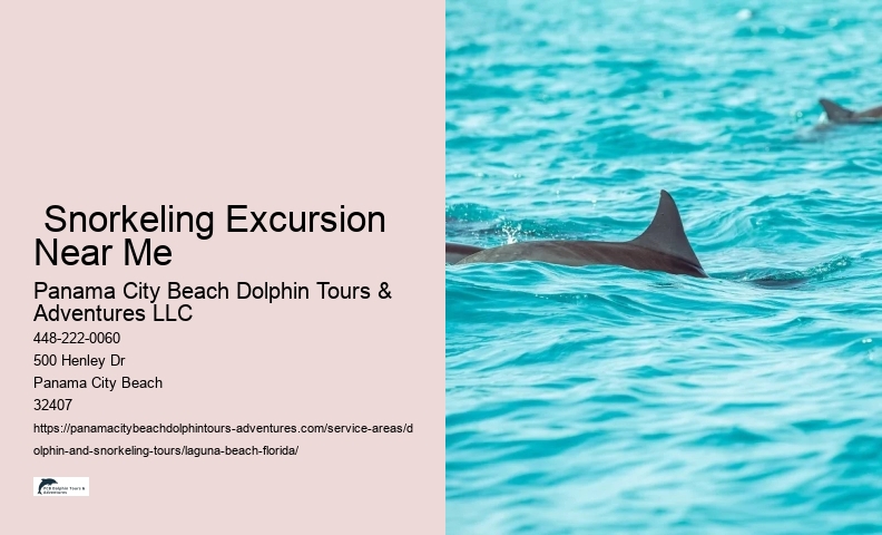 Dolphin Excursions Near Me
