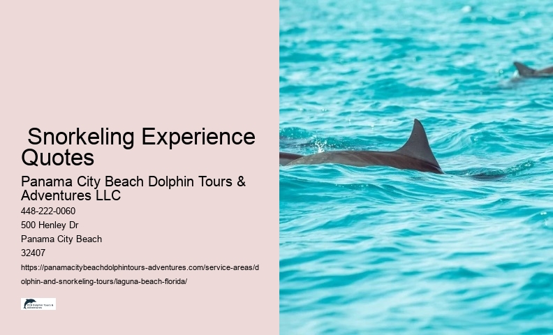  Snorkeling Experience Quotes