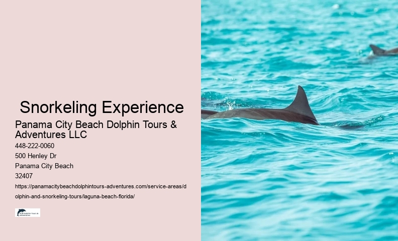 Laguna Beach Snorkeling Tour