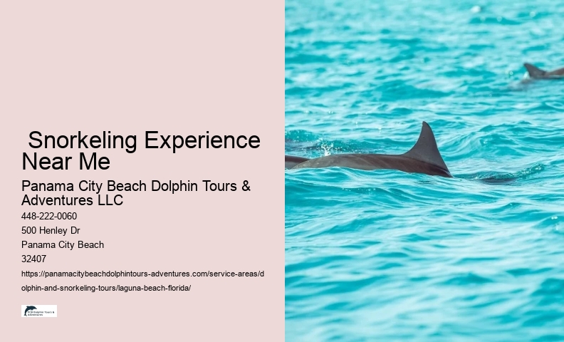 Guided Snorkeling Near Me