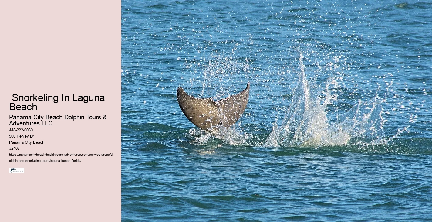 What is the most common dolphin in Florida