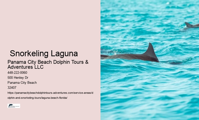 Dolphin Tours Near Me Panama City Beach