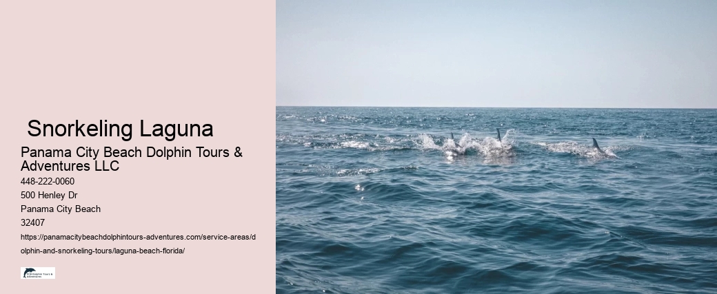 Closest Place To See Dolphins