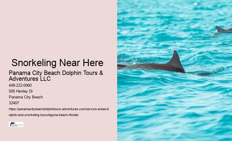 Dolphin & Wildlife Adventure Cruise