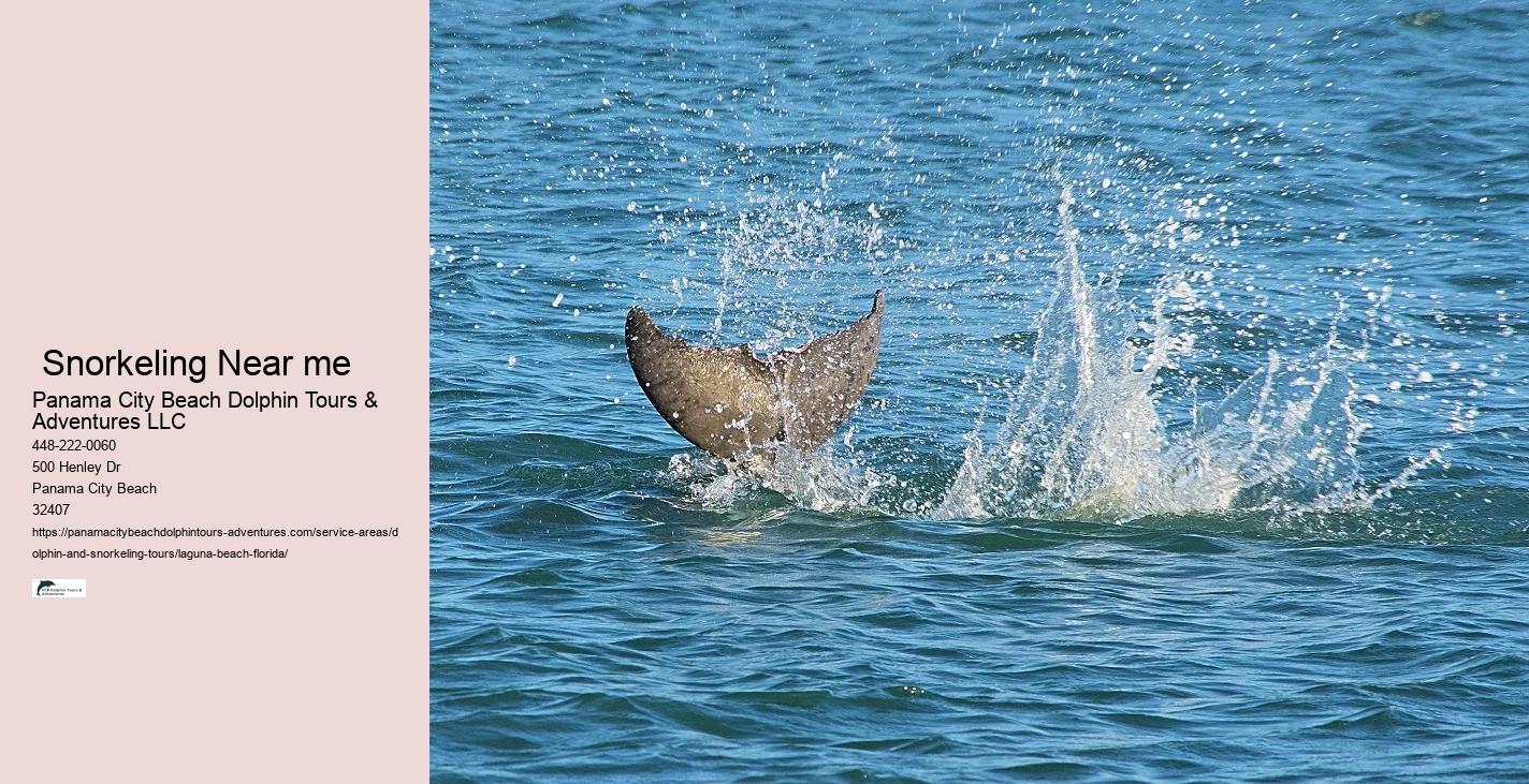 Is it safer to swim with Sharks or dolphins