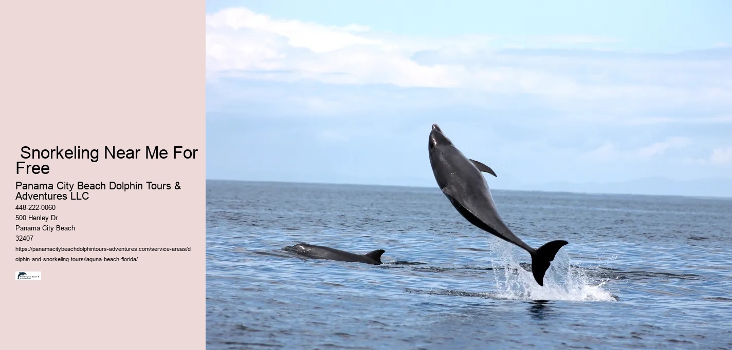 Dolphin And Whale Watching Near Me