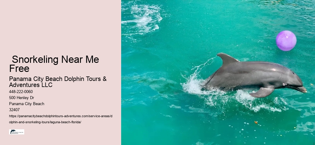 Where is the best place to swim with wild dolphins