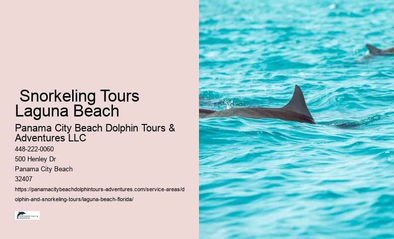Free Dolphin Tours Near Me