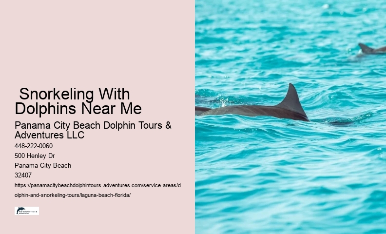 Private Dolphin Tours Near Me