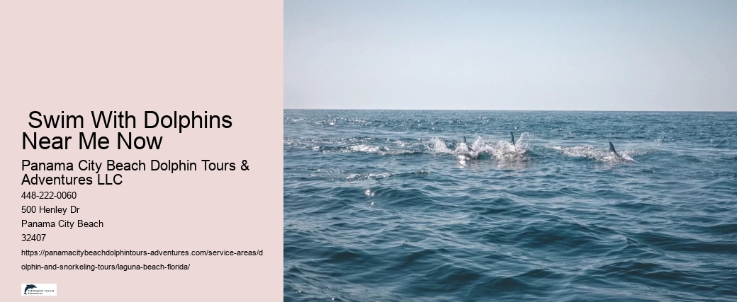 What is dolphin season