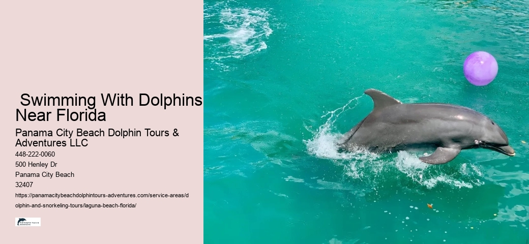 2 Hour Dolphin Cruise